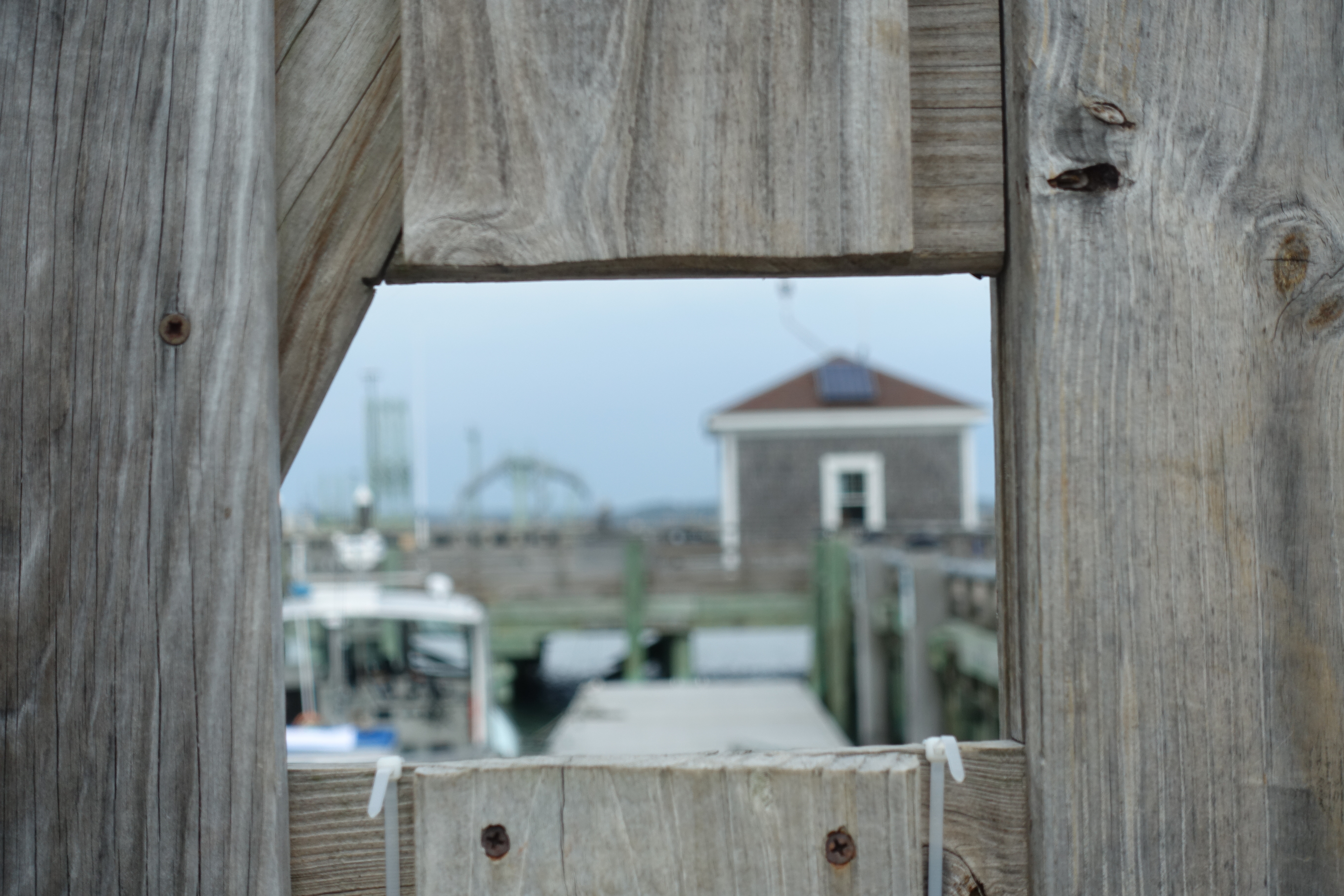 holey fence